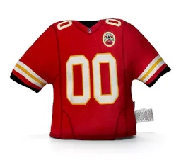 NFL Team Jersey Pillow