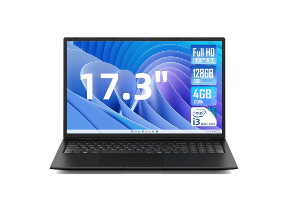 Sgin Laptop