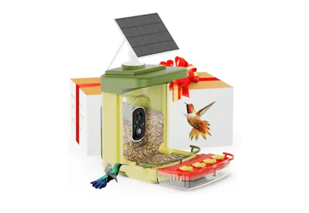 Smart Hummingbird Feeder