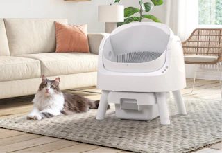 white automatic cat litter box with a cat next to it