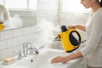 walmart handheld steam cleaner