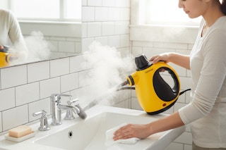 walmart handheld steam cleaner