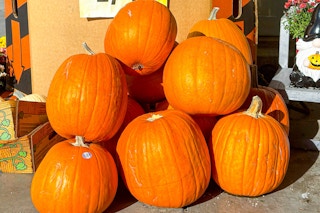 carving pumpkins display outside of kroger stores