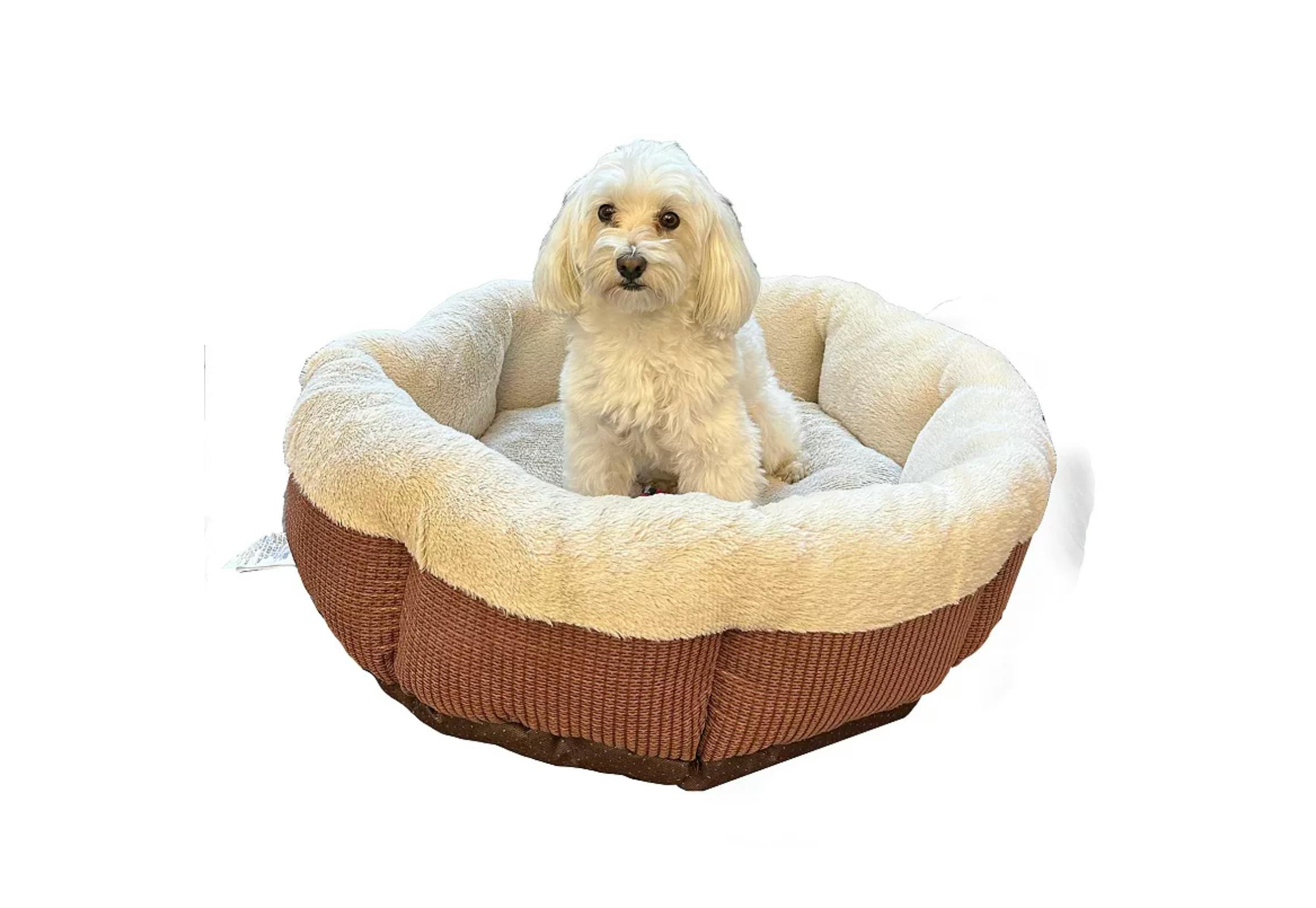 Kohls dog clearance bed