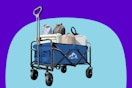Collapsible Wagon 