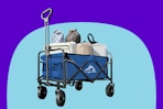 Collapsible Wagon 