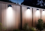 solar lights hanging on a privacy fence