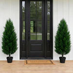 Faux 4' Cedar Tree 2-Pack