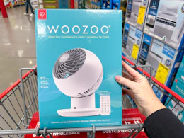 hand holding a woozoo fan in cart