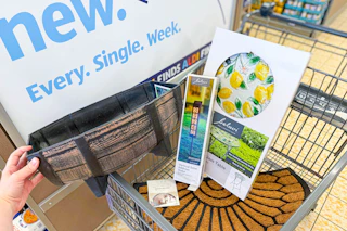 aldi-outdoor-finds-042226-glass-table-mat-solar-address-stake-planter