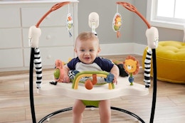 a baby in a fisher-price bouncer