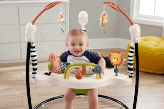 a baby in a fisher-price bouncer