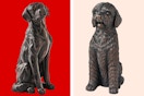 members mark dog statues collage