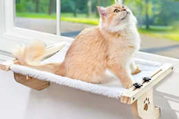 Cat Hammock AliExpress