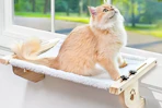 Cat Hammock AliExpress