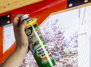 amazon wasp spray 1653658062 1653658062 e1653658086128