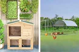 Chicken Coop Deals at Target: Prices Start at $109 (Cheaper Than Home Depot) card image