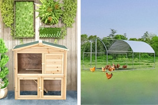 Wooden and Galvanized Chicken coops (2 lifestyle photos of both options outdoors)