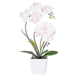 Faux Orchid Arrangement