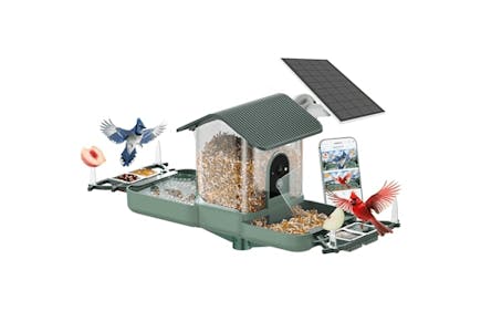 Dual-Camera Bird Feeder