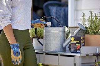 miracle-gro-plant-nutrients-amazon