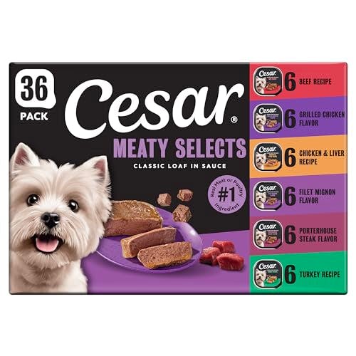 Cesar Wet Dog Food 36-Pack