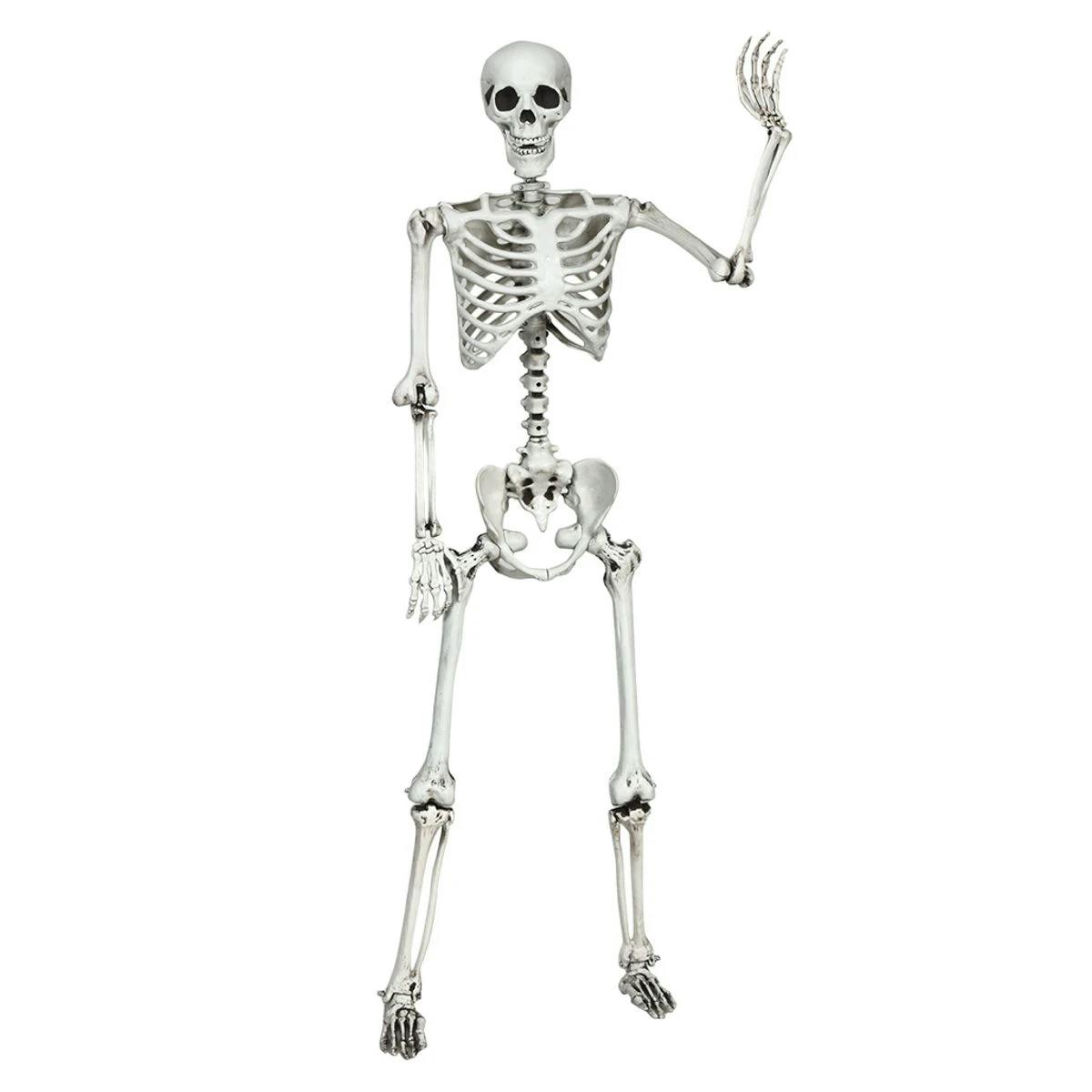 Halloween Hanging Skeleton