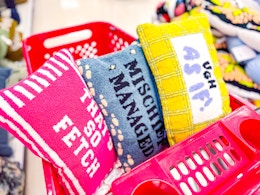  These $20 Pop Culture Pillows Are $11 at Target (Gilmore Girls, More) card image