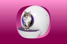 Self-Cleaning Cat Litter Box, Only $132 With Amazon Discounts card image