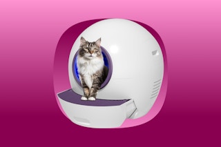 A spherical self-cleaning cat litter box in off-white with a purple door frame and purple step