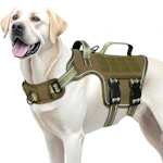 Dog Harness