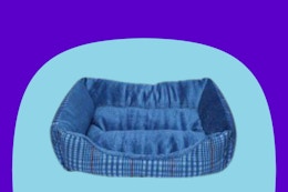 dollar general forever pals pet bed on blue background