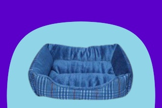 dollar general forever pals pet bed on blue background