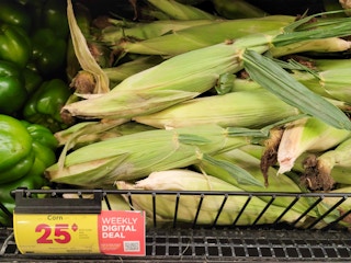 kroger-corn-sv
