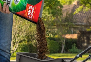 lawn insect killer