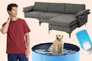 Men's tee, couch, dog pool & Stem bug light