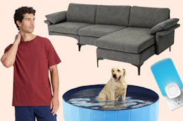 Men's tee, couch, dog pool & Stem bug light