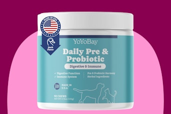 Probiotics for Dogs