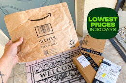 lowest-price-amazon-deals-30-days-11