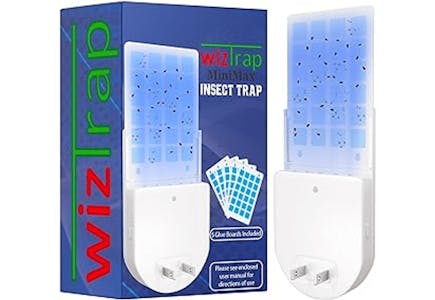 MiniMax Fruit Fly Trap