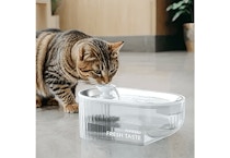 Cat Water Fountain