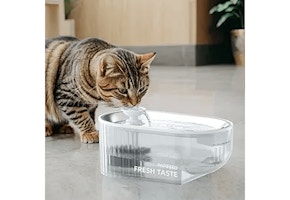 Cat Water Fountain