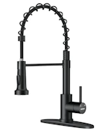 Pull-Down Kitchen Faucet