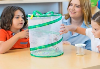 amazon butterfly kitjpg 1678989643 1678989643