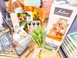 aldi-home-and-garden-deals-plant-ladder-planter-watering-globe-coir-mat-wreath-1