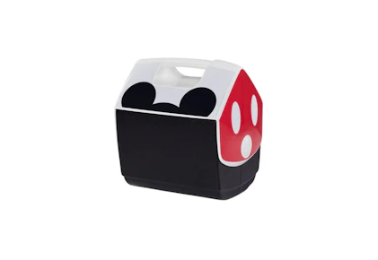 Igloo Cooler