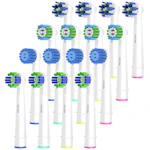 Replacement Brush Heads