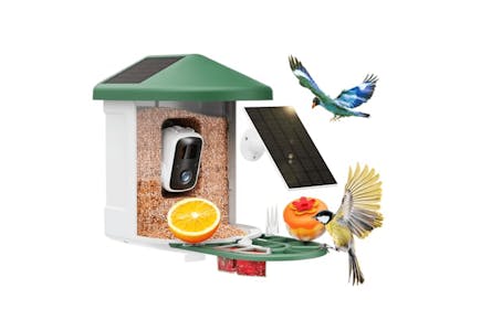 Smart Bird Feeder With Camera