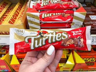 hand holding demet's turtles at target