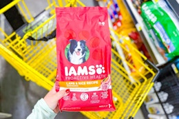 hand holding a bag of iams proactive health dog food